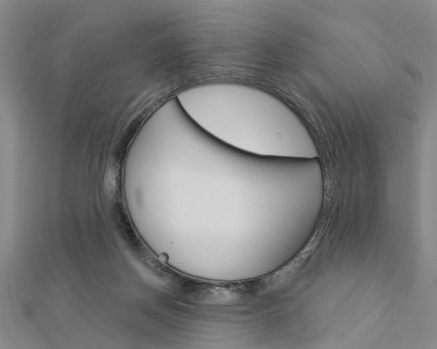 X0000112920166200908241039