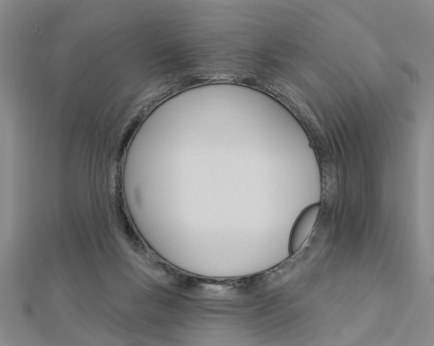 X0000112920167200908241039