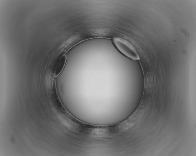 X0000112920168200908241039