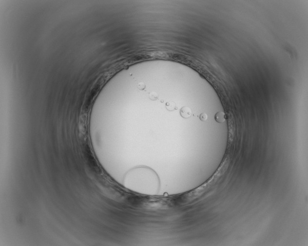 X0000112920175200908241039