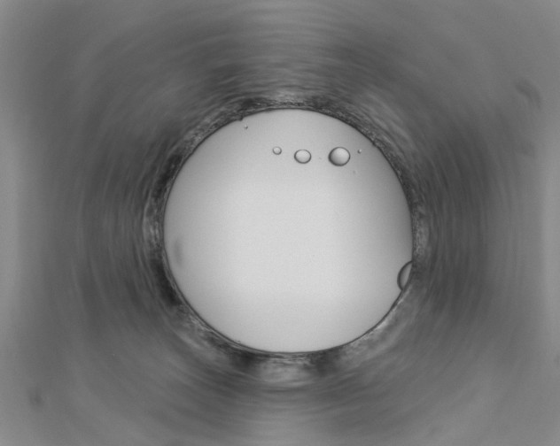 X0000112920179200908241039