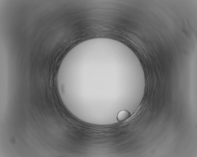 X0000112920180200908241039