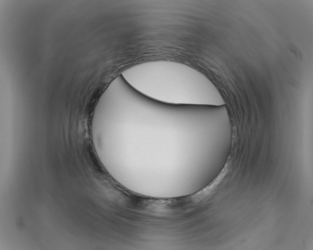 X0000112920182200908241039