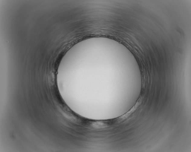 X0000112920183200908241039