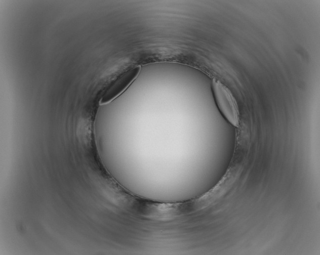 X0000112920184200908241039