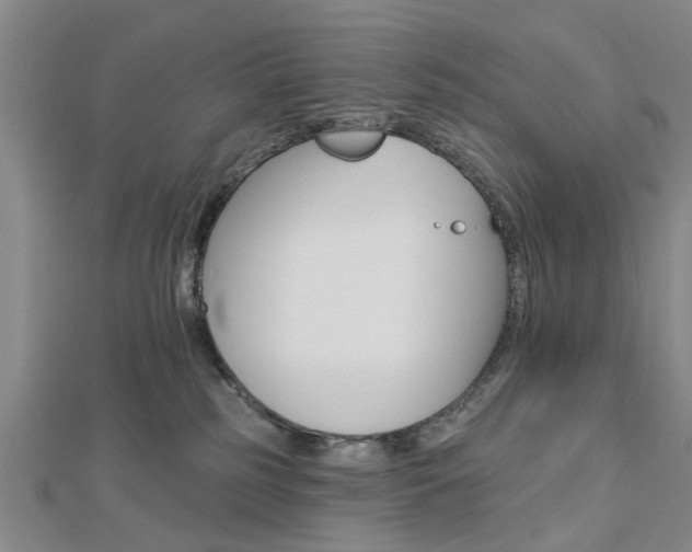 X0000112920185200908241039