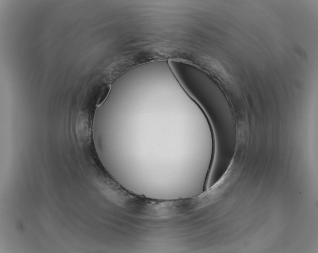 X0000112920186200908241039