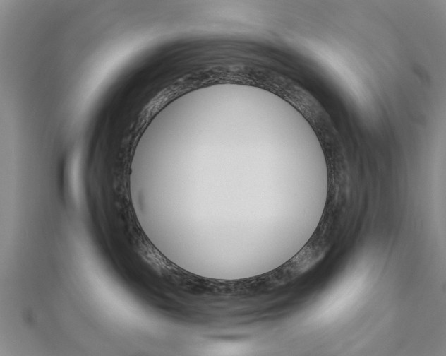 X0000112920189200908241039