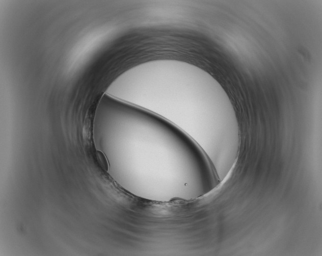 X0000112920190200908241039