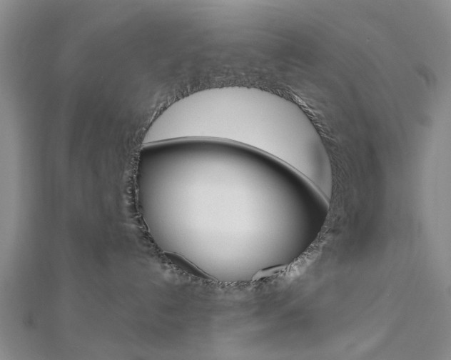 X0000112920192200908241039