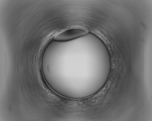 X0000112920193200908241039