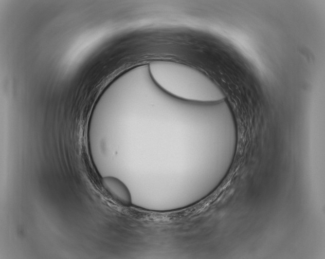 X0000112920194200908241039