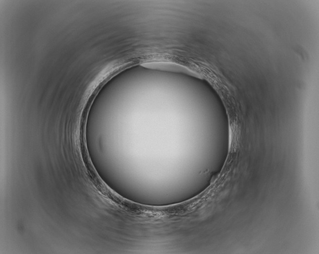 X0000112920195200908241039