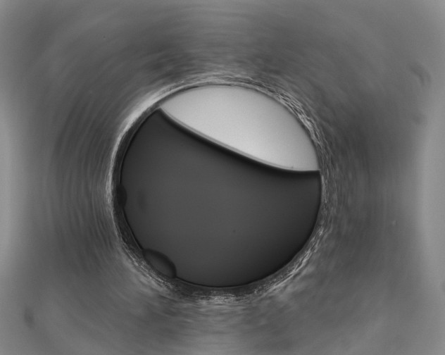 X0000112920196200908241039