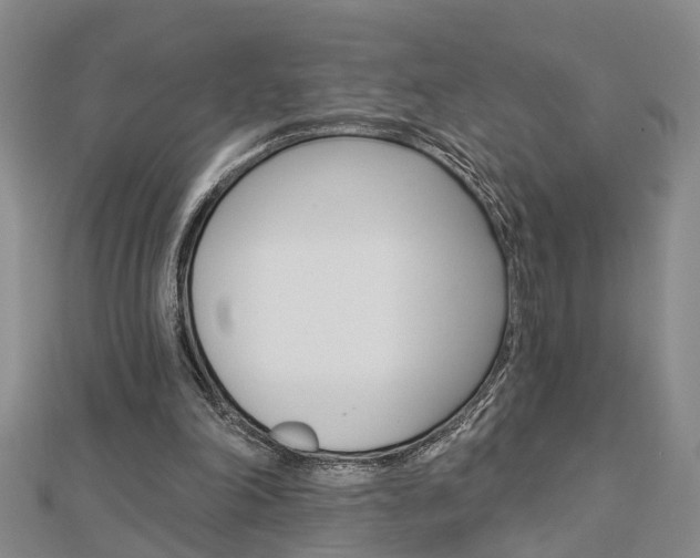 X0000112920198200908241039