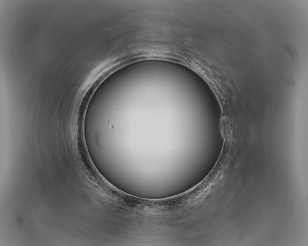 X0000112920199200908241039