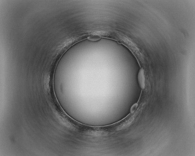 X0000112920201200908241039