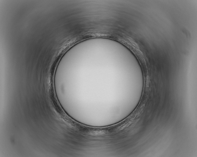 X0000112920202200908241039