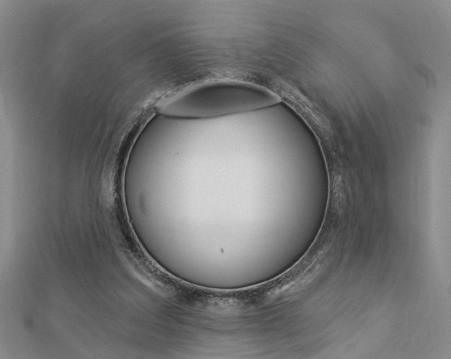 X0000112920203200908241039