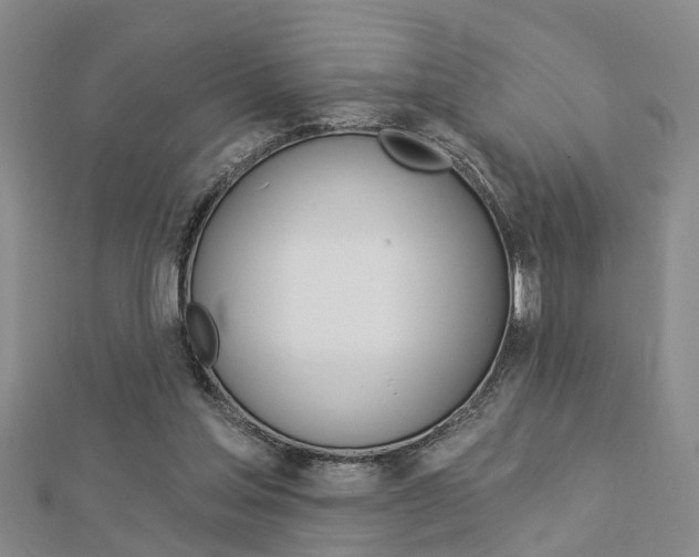 X0000112920205200908241039