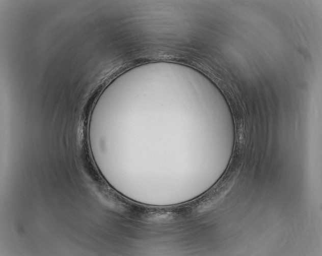 X0000112920206200908241039