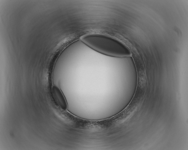 X0000112920207200908241038