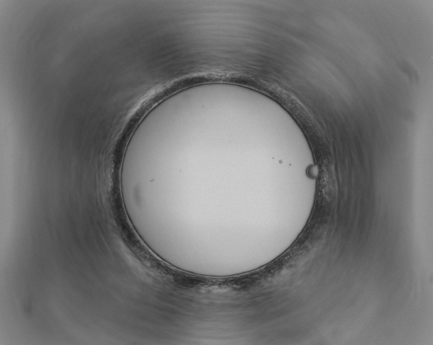X0000112920208200908241038