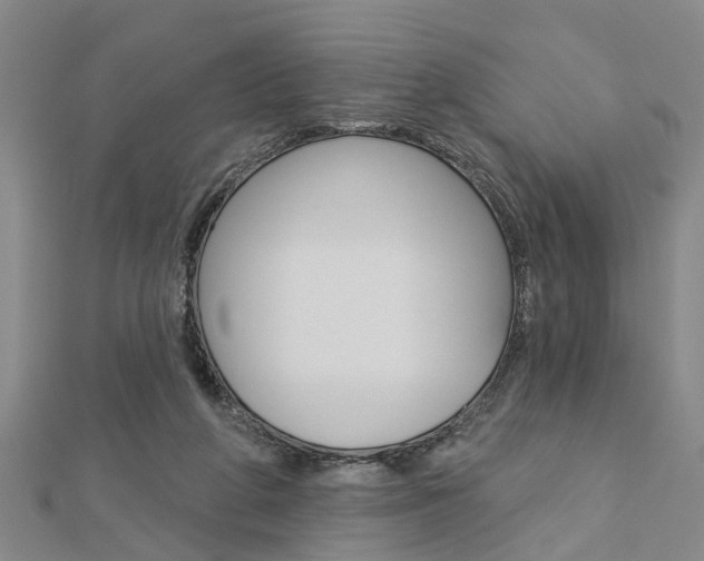X0000112920210200908241038