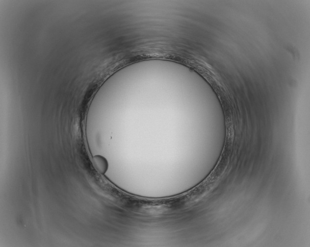 X0000112920213200908241038