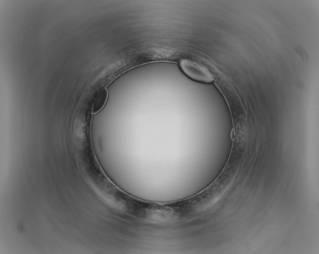X0000112920215200908241038