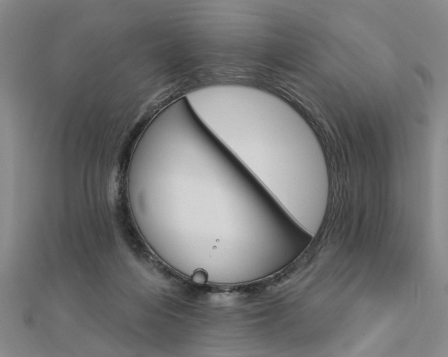 X0000112920216200908241038