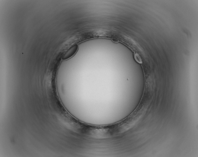 X0000112920217200908241038