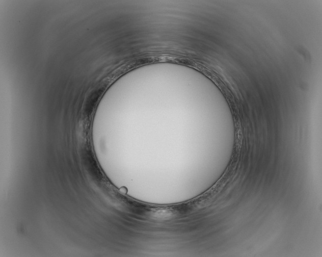 X0000112920218200908241038