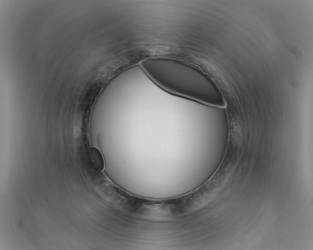X0000112920221200908241038