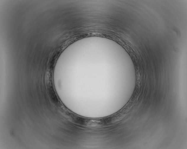 X0000112920222200908241038