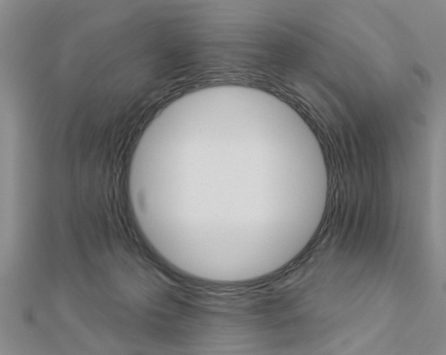 X0000112920223200908241038