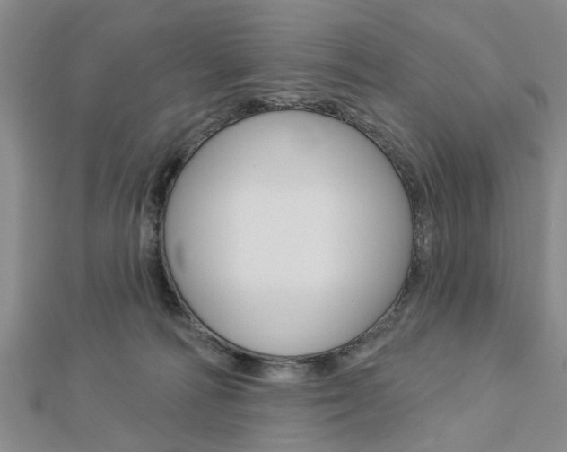 X0000112920226200908241038
