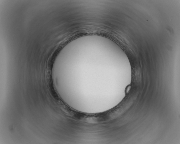 X0000112920228200908241038