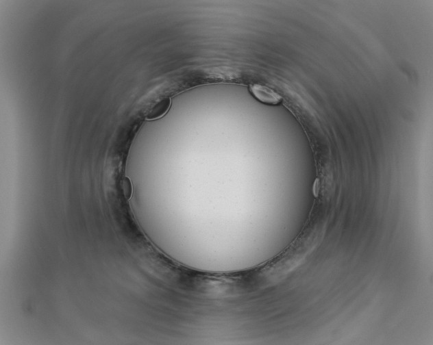 X0000112920229200908241038