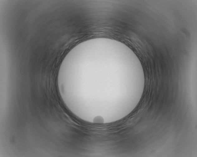 X0000112920231200908241038