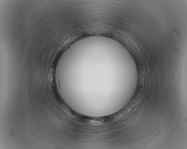 X0000112920232200908241038