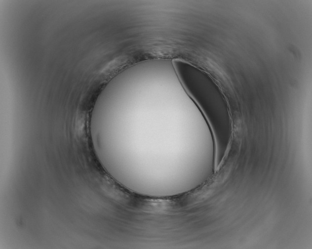 X0000112920233200908241038