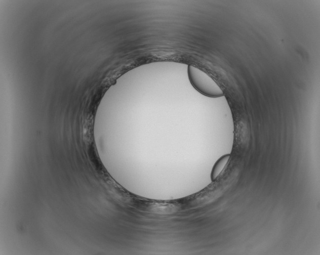 X0000112920234200908241038