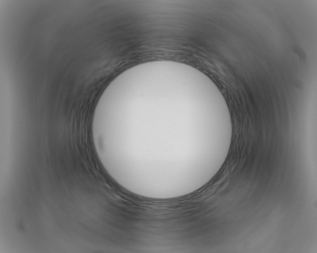 X0000112920235200908241038