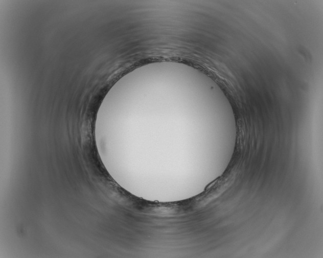 X0000112920236200908241038