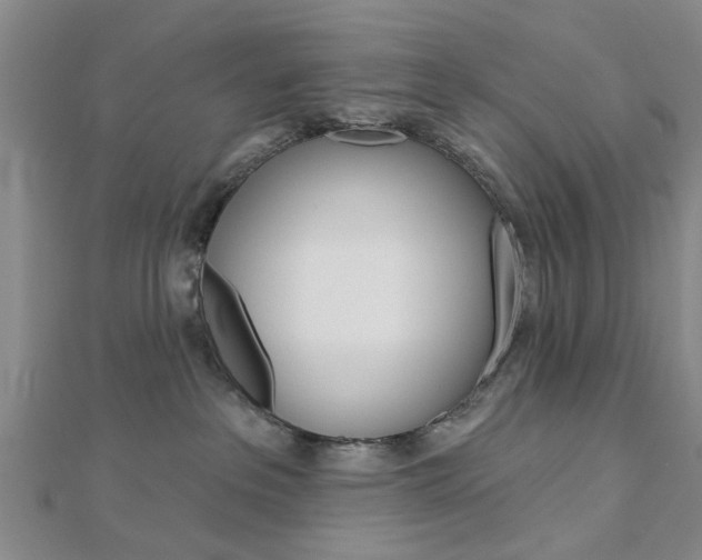 X0000112920237200908241038