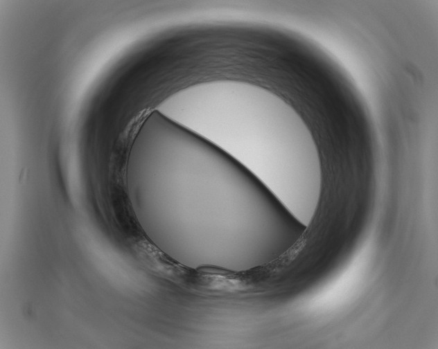 X0000112920239200908241038