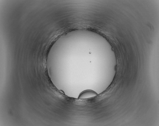 X0000112920240200908241038