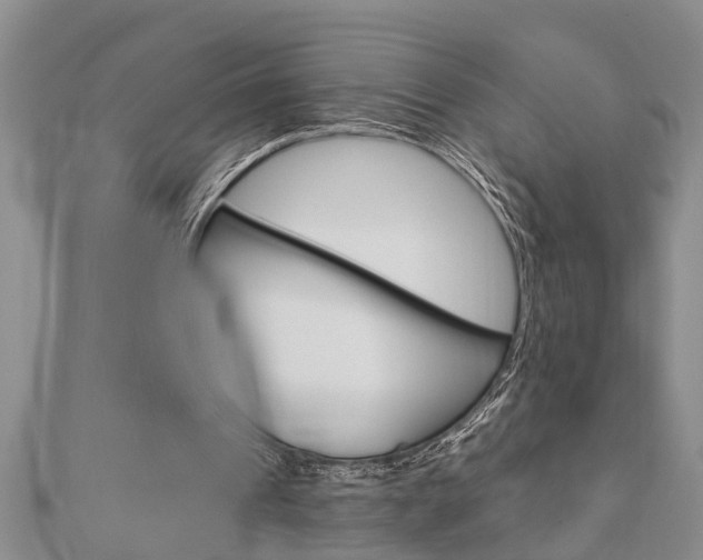 X0000112920241200908241037