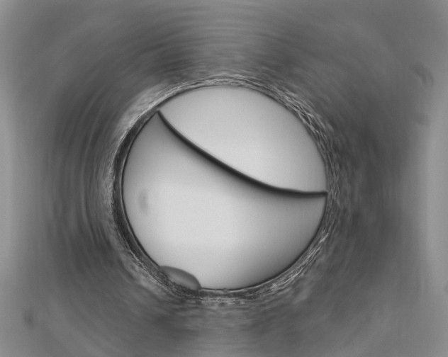 X0000112920242200908241037